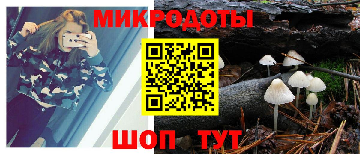 где купить наркотик  Вход с VPN  Комсомольск-на-Амуре  Псилоцибиновые грибы GOLDEN TEACHER 