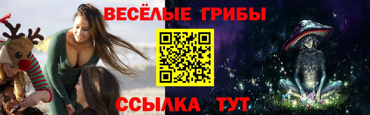 Псилоцибиновые грибы Psilocybine cubensis Комсомольск-на-Амуре